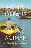 book cover for Homo Irrealis