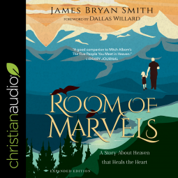 book cover for A Room of Marvels