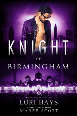book cover for Knight of Birmingham