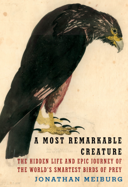 book cover for A Most Remarkable Creature
