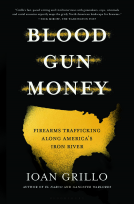 book cover for Blood Gun Money