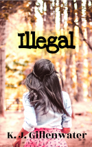 book cover for Illegal
