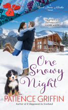 book cover for One Snowy Night