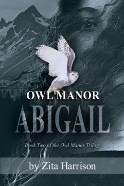 book cover for Owl Manor
