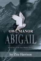book cover for Owl Manor