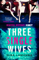 book cover for Three Single Wives