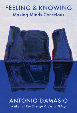 book cover for Feeling & Knowing