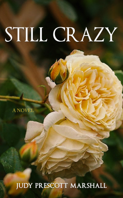 book cover for Still Crazy