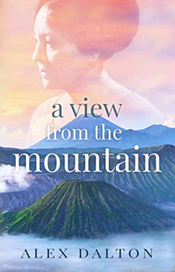 book cover for A View From The Mountain