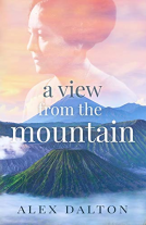 book cover for A View From The Mountain
