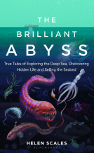 book cover for The Brilliant Abyss
