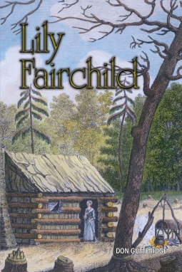 book cover for Lily Fairchild