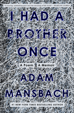 book cover for I Had a Brother Once