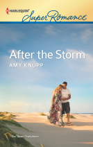 book cover for After the Storm