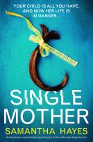 book cover for Single Mother
