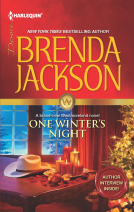 book cover for One Winter's Night