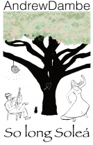 book cover for So Long Soleá