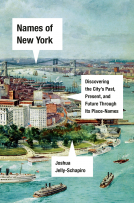 book cover for Names of New York