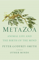 book cover for Metazoa