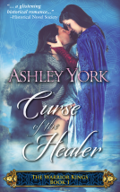 book cover for Curse of the Healer