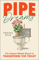 book cover for Pipe Dreams