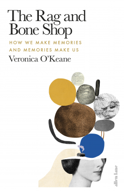book cover for The Rag and Bone Shop