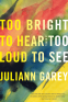 Cover Image: Too Bright to Hear Too Loud to See