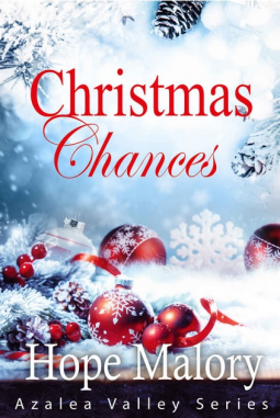 book cover for Christmas Chances