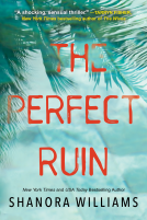 book cover for The Perfect Ruin