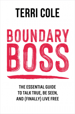 book cover for Boundary Boss