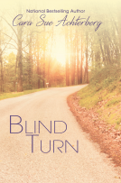 book cover for Blind Turn