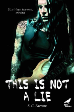 book cover for This is Not a Lie