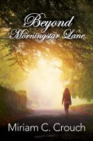 book cover for Beyond Morningstar Lane