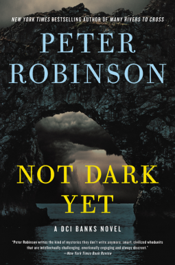 book cover for Not Dark Yet
