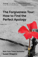 book cover for The Forgiveness Tour
