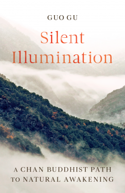 book cover for Silent Illumination