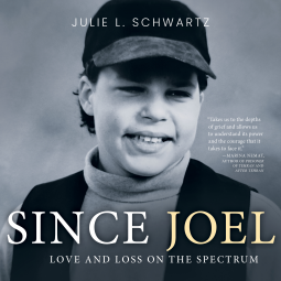 book cover for Since Joel