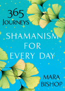 book cover for Shamanism for Every Day