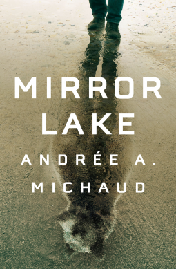 book cover for Mirror Lake