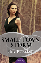 book cover for Small Town Storm