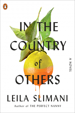 book cover for In the Country of Others