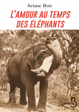Couverture du livre pour L'Amour au temps des éléphants