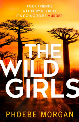 book cover for The Wild Girls
