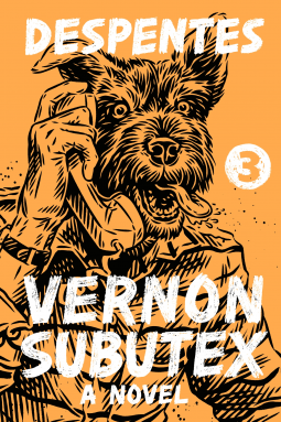 book cover for Vernon Subutex 3