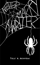 book cover for Never Marry a Writer