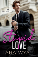 book cover for Stupid Love