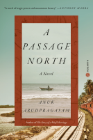 book cover for A Passage North