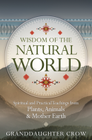 book cover for Wisdom of the Natural World