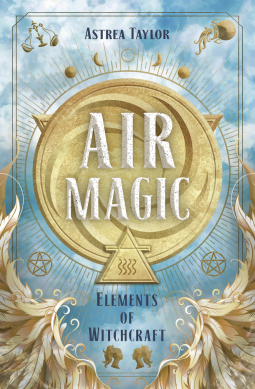 book cover for Air Magic