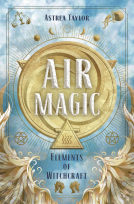 book cover for Air Magic